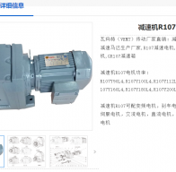 R107DRN100L4BE5HRV減速電機(jī)型號解析