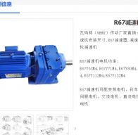 R67DRN80MK4/BE1/HF/AK8W減速電機型號解析