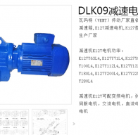 DLK09-DM160M-4-11KW減速電機(jī)型號(hào)解析