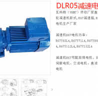 減速電機DLR05-113-DM112M-4-E-M1型號解析