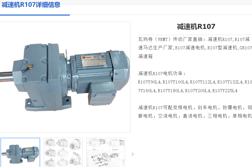 R107DRN112M4/TH/V/XHO減速電機(jī)型號(hào).png